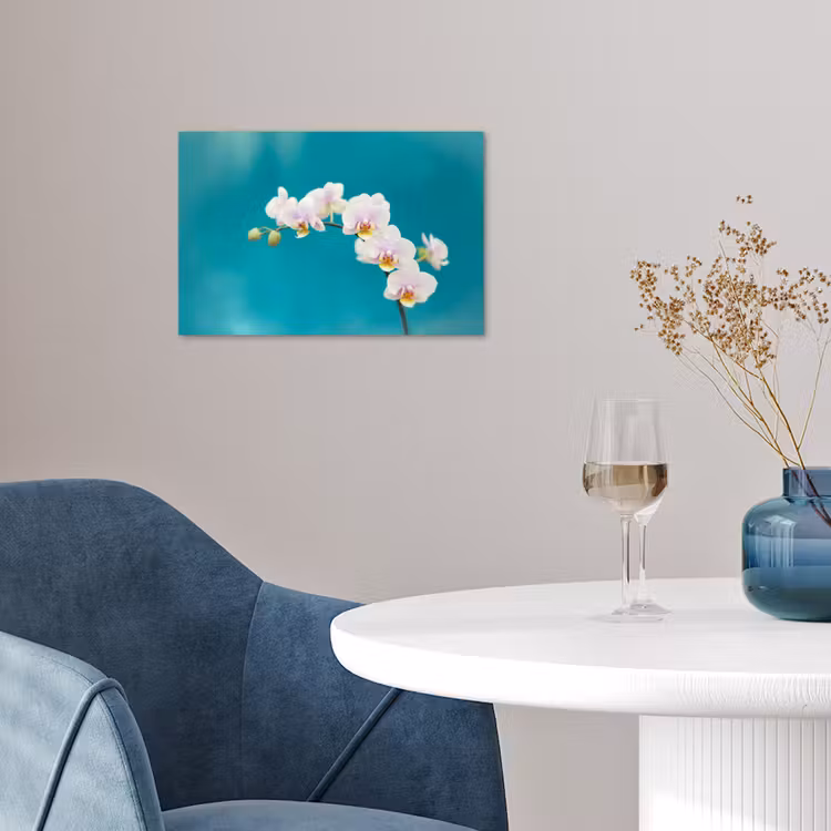 Poster - Orchidee - Bloemen - Plant - Wit - Paars — 4