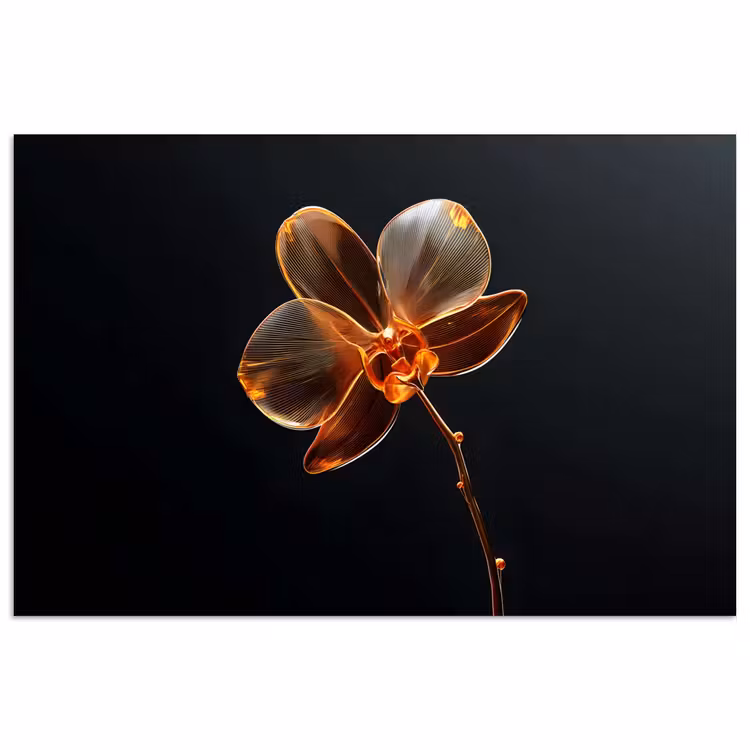 Poster - Orchidee - Doorzichtig - Bloem — 1