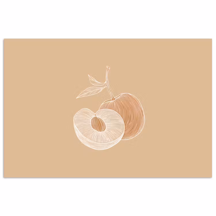 Poster - Perzik - Lijntekening - Pit - Beige — 1