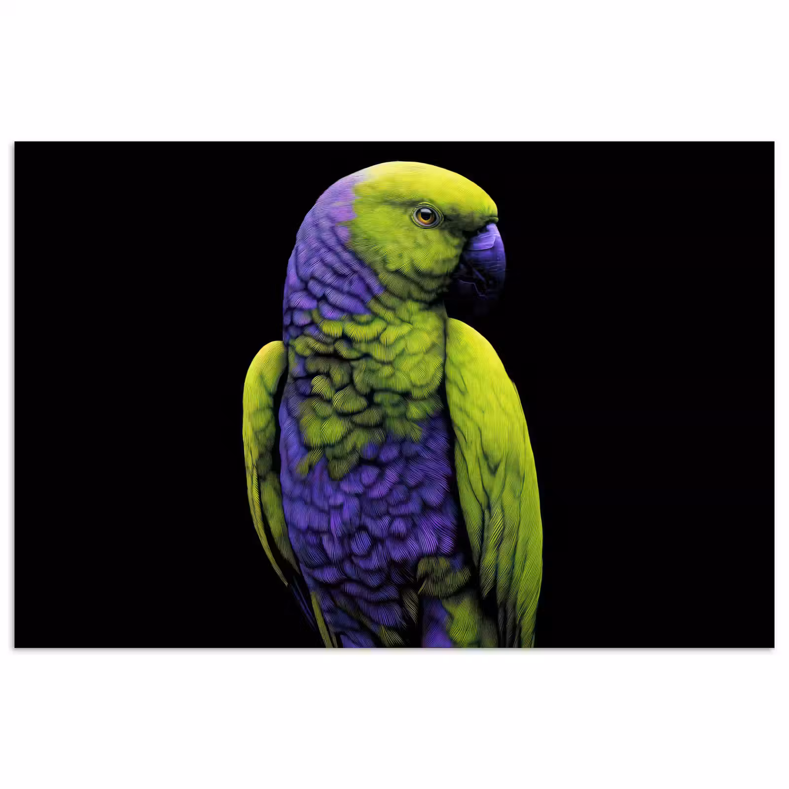 Poster - Papegaai - Veren - Opvallend - Groen — 1