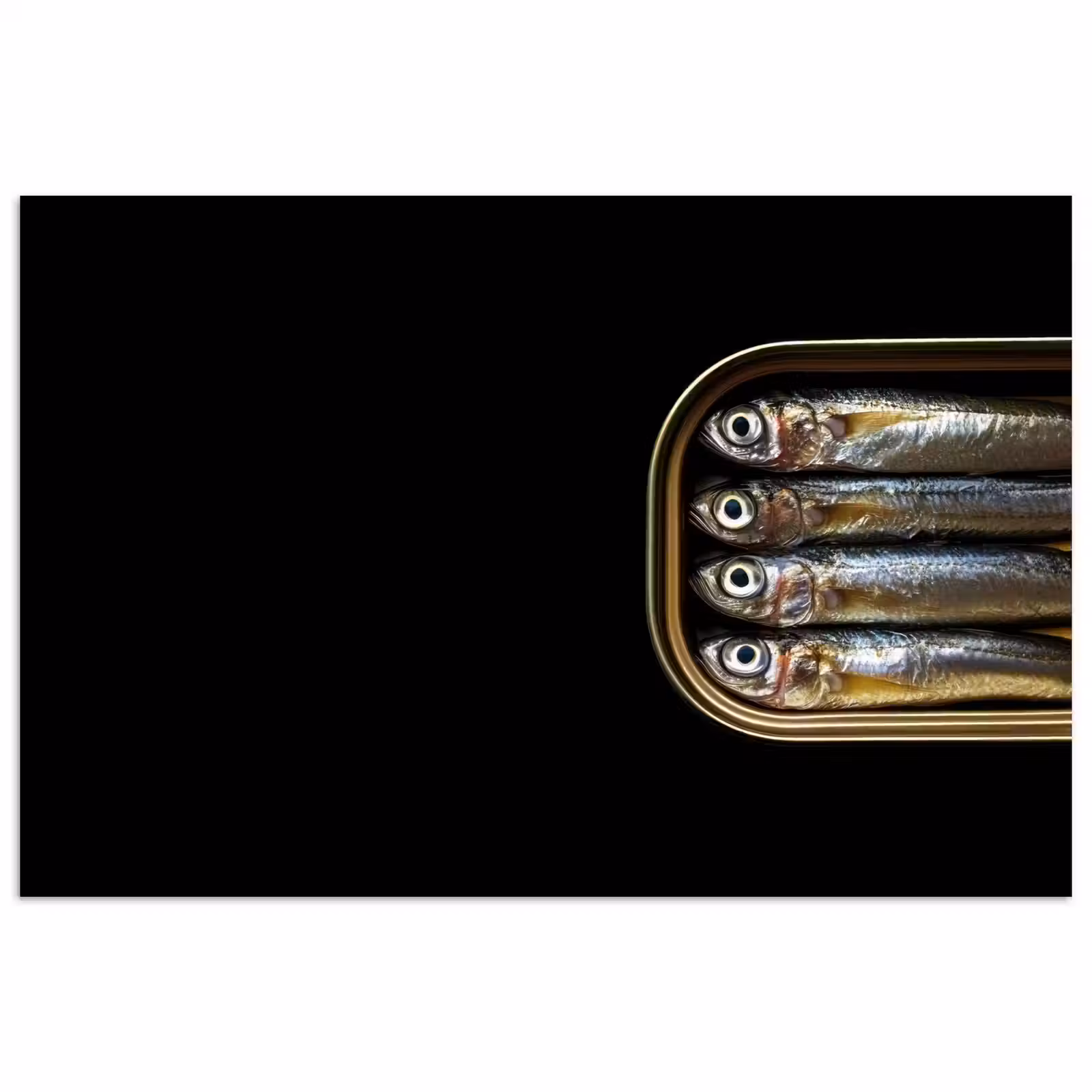 Poster - Sardines - Blik - Zwart - Vissen — 1