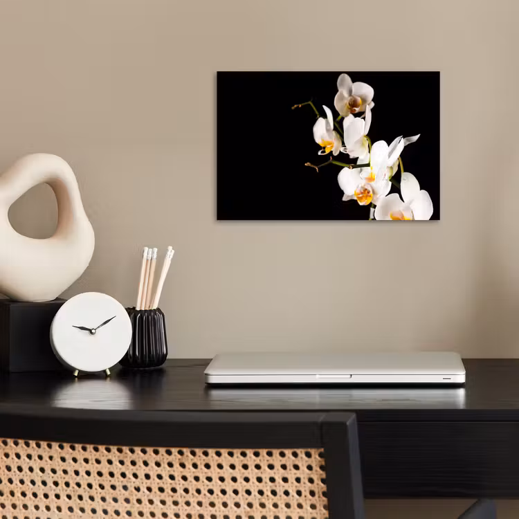 Poster - Orchidee - Bloemen - Planten - Botanisch — 2