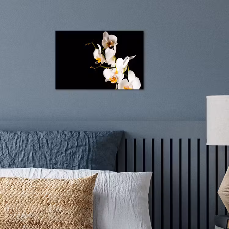 Poster - Orchidee - Bloemen - Planten - Botanisch — 3