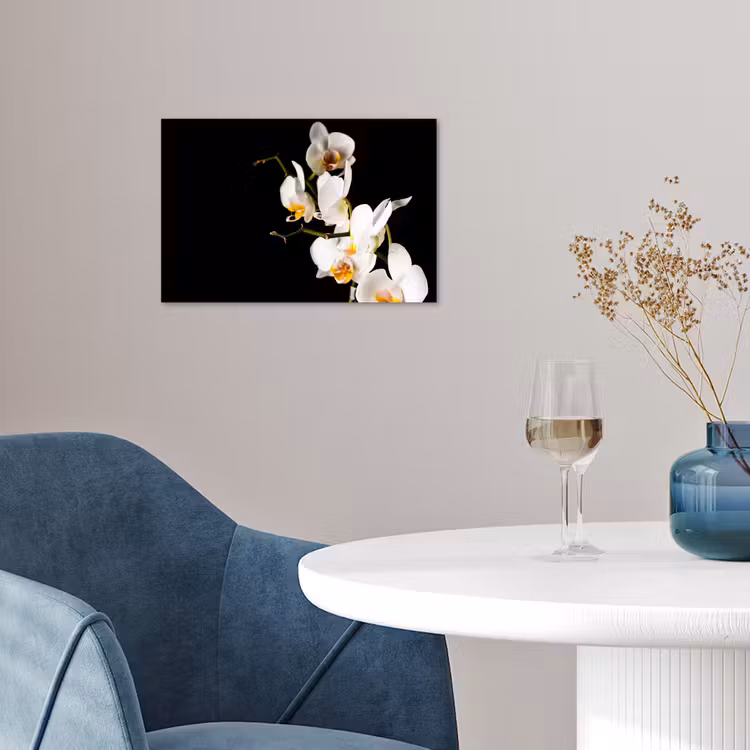Poster - Orchidee - Bloemen - Planten - Botanisch — 4