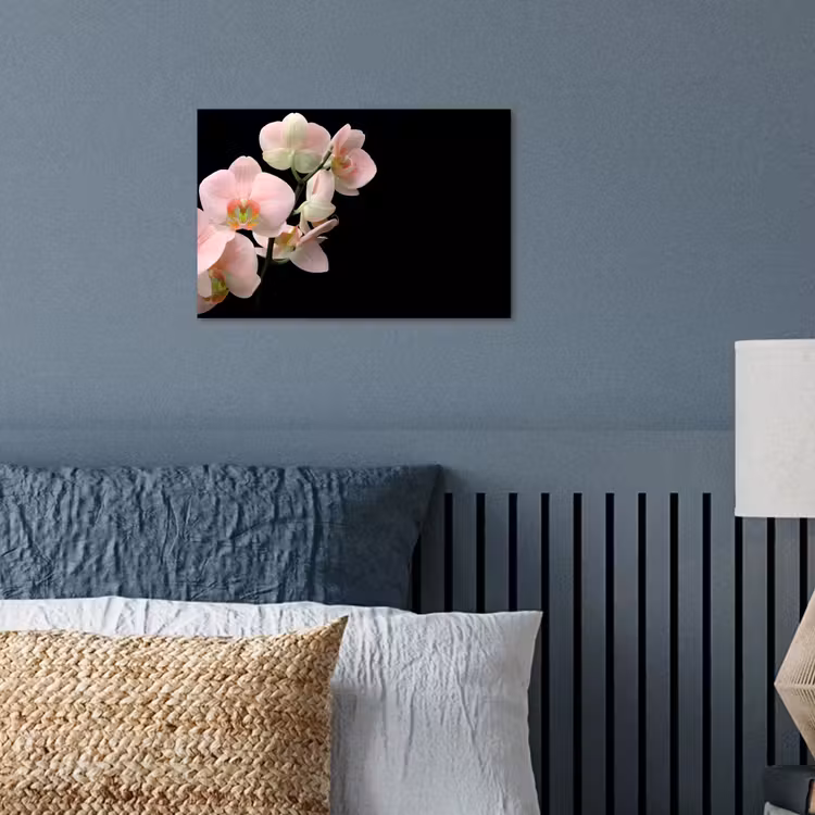 Poster - Orchidee - Bloemen - Roze - Stilleven - Flora — 3