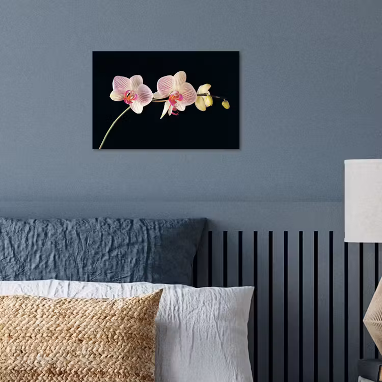 Poster - Orchidee - Bloemen - Zwart - Roze - Knoppen — 3