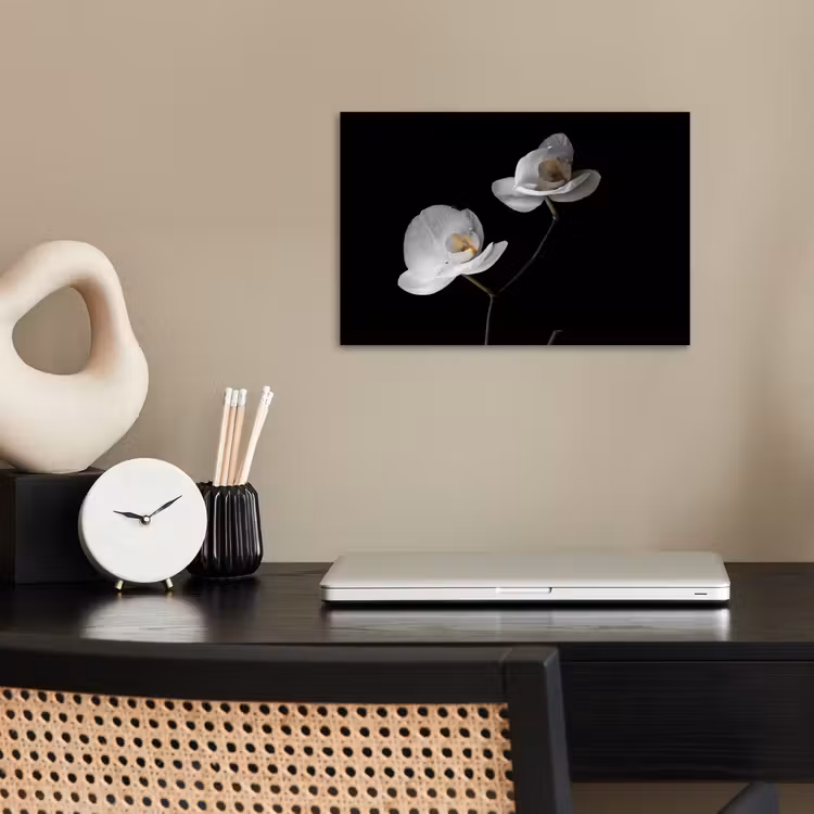 Poster - Orchidee - Bloemen - Zwart - Wit - Stilleven — 2