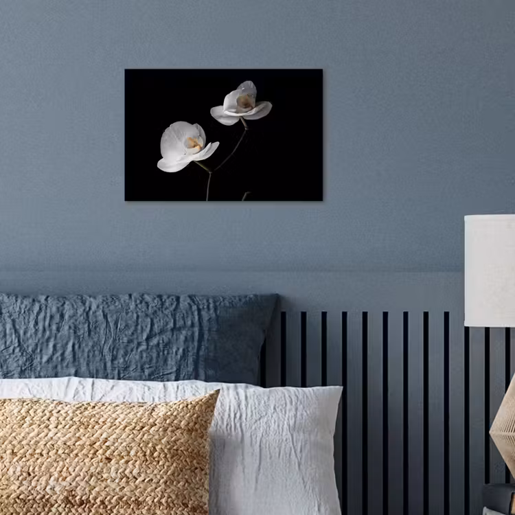 Poster - Orchidee - Bloemen - Zwart - Wit - Stilleven — 3