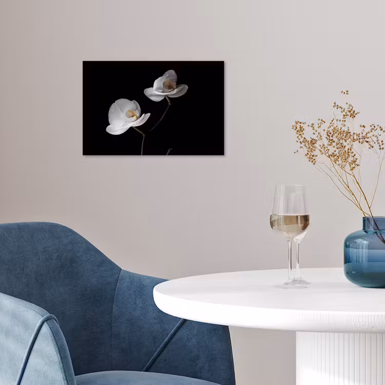 Poster - Orchidee - Bloemen - Zwart - Wit - Stilleven — 4