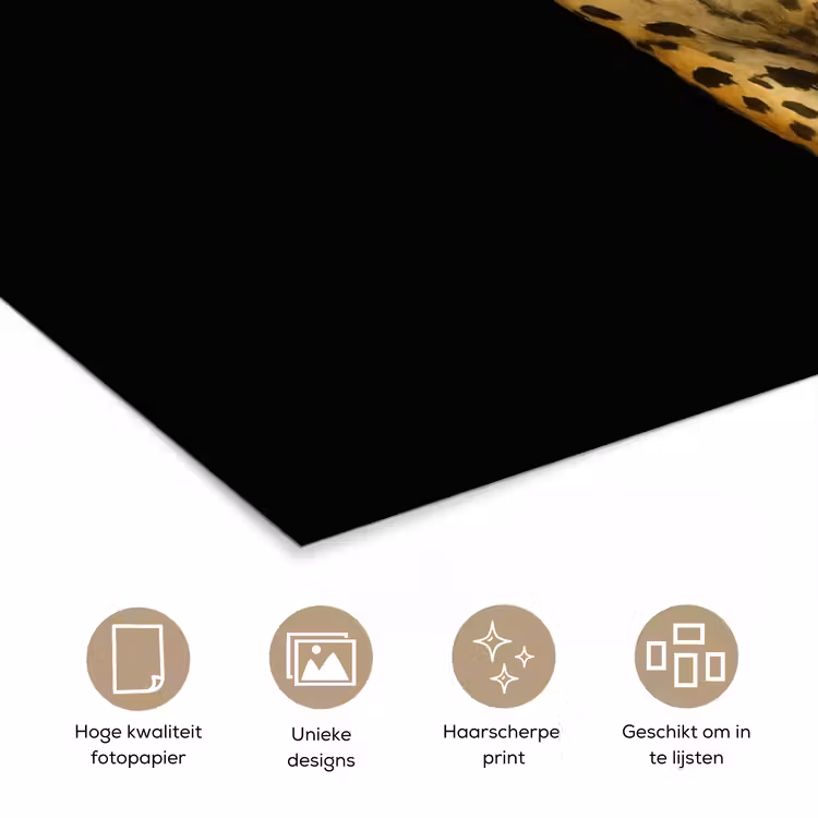 Poster - Panter - Realistisch - Bruin — 5