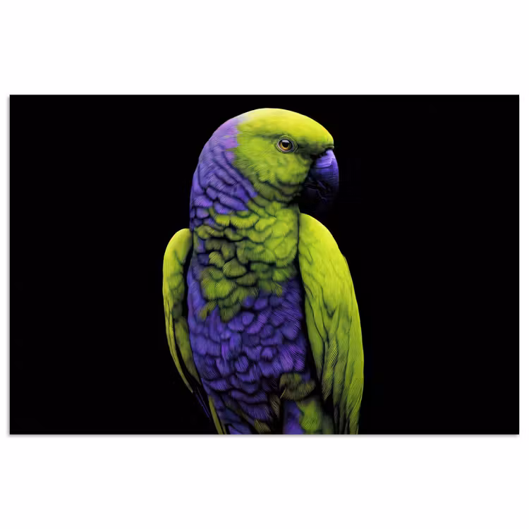 Poster - Papegaai - Veren - Opvallend - Groen — 1