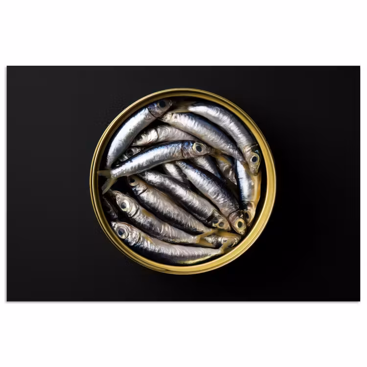 Poster - Sardines - Vissen - Rond - Zwart — 1