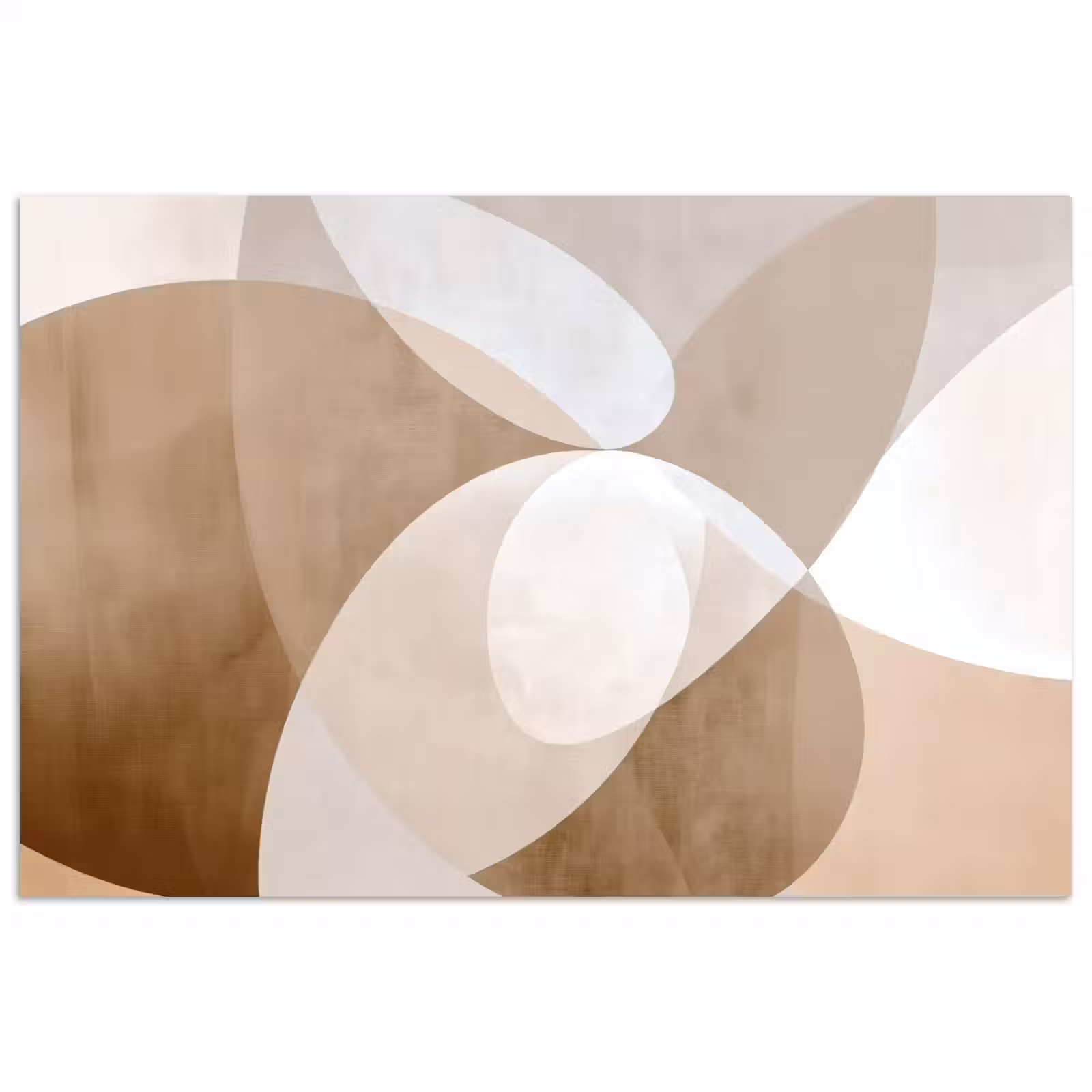 Poster - Ovale vormen - Transparant - Zachte overgang — 1