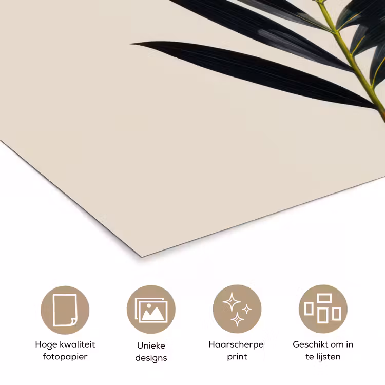 Poster - Palmblad - Subtiel - Groen - beige — 5