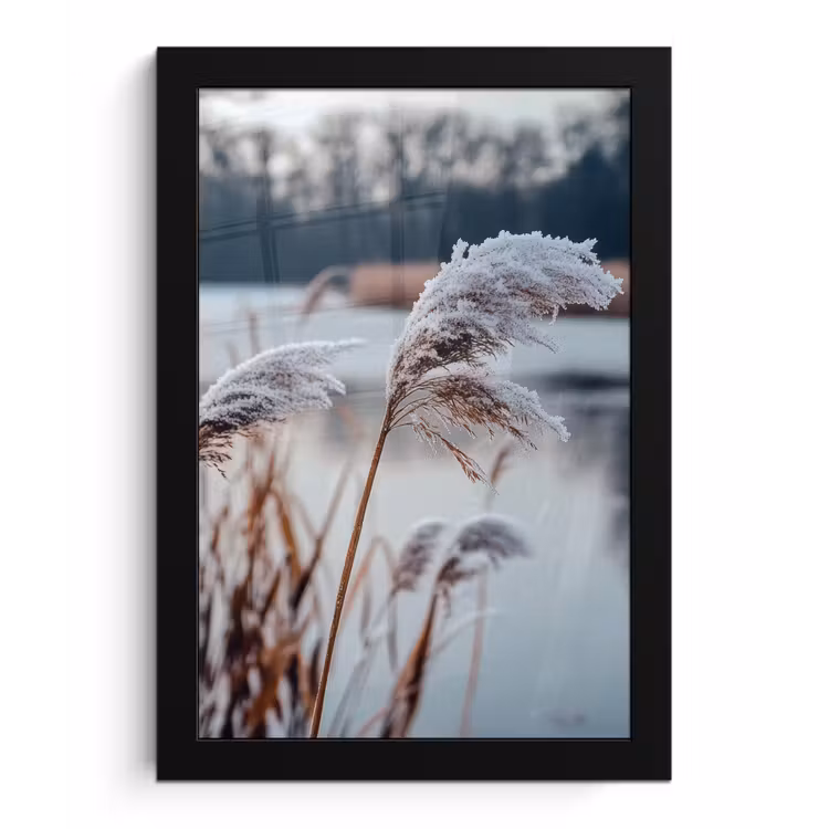 Poster met lijst - Riet - Gras - Natuur - Winter - Meer — 1
