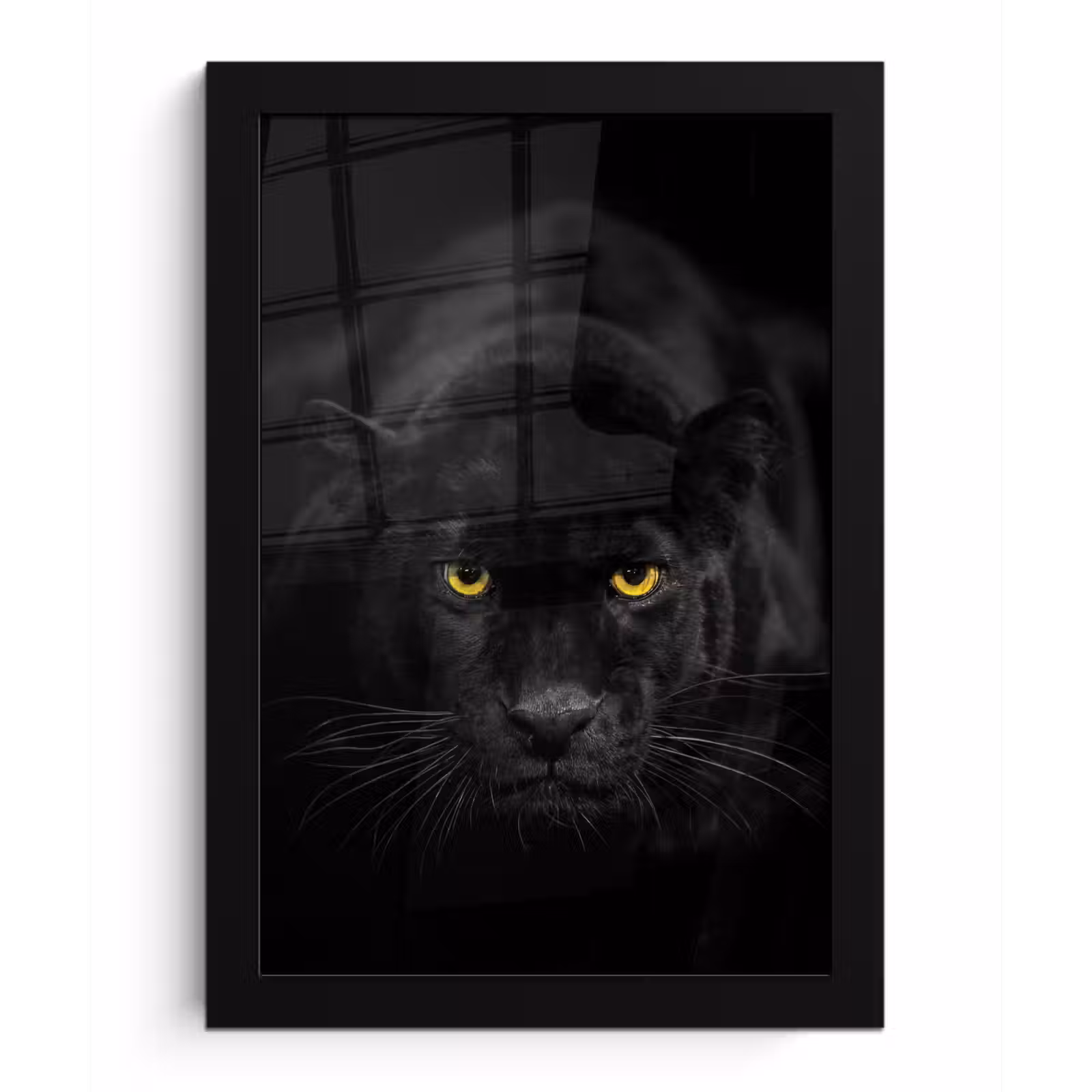 Poster met lijst - Panter - Dieren - Zwart - Ogen — 1