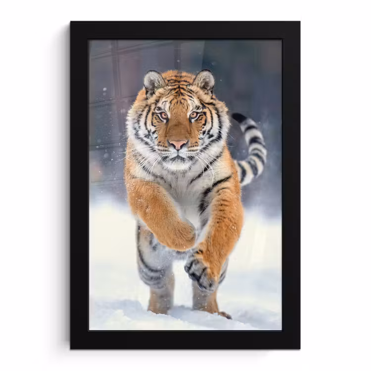 Poster met lijst - Tijger - Landschap - Sneeuw - Winter - Dieren — 1