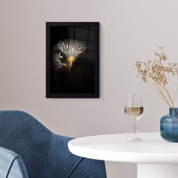 Poster met lijst - Vogel - Adelaar - Roofvogels - Oog - Snavel - Licht — 2