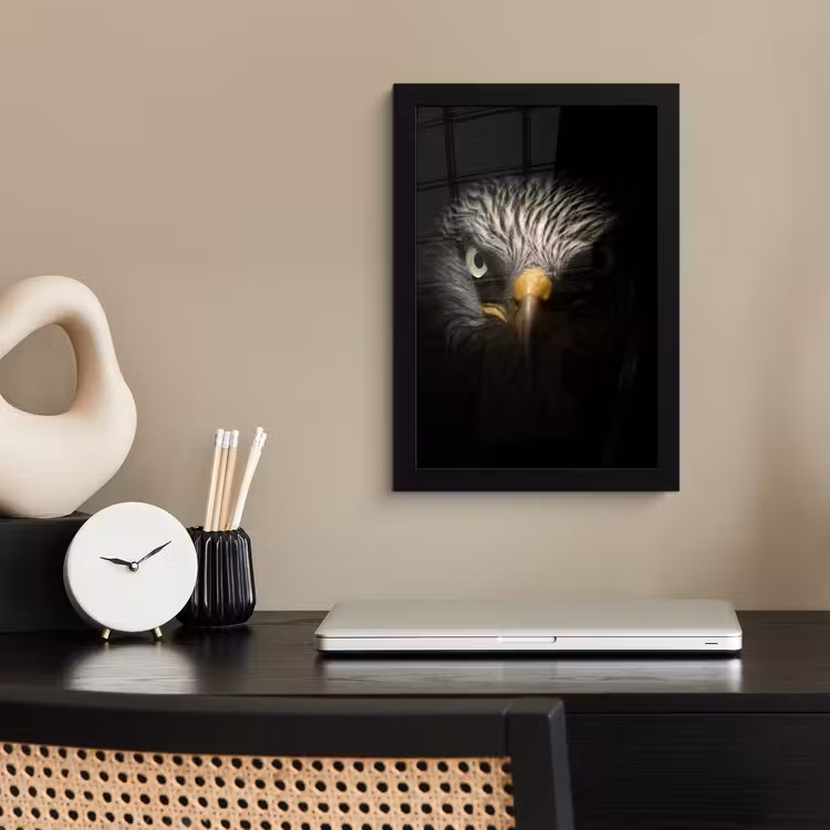 Poster met lijst - Vogel - Adelaar - Roofvogels - Oog - Snavel - Licht — 3