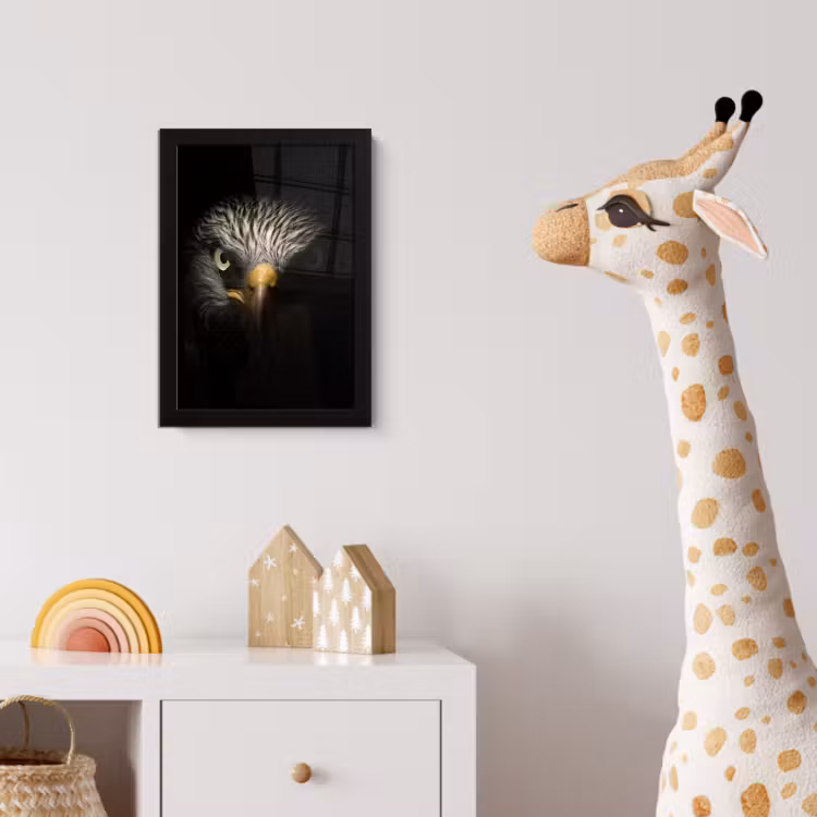 Poster met lijst - Vogel - Adelaar - Roofvogels - Oog - Snavel - Licht — 5