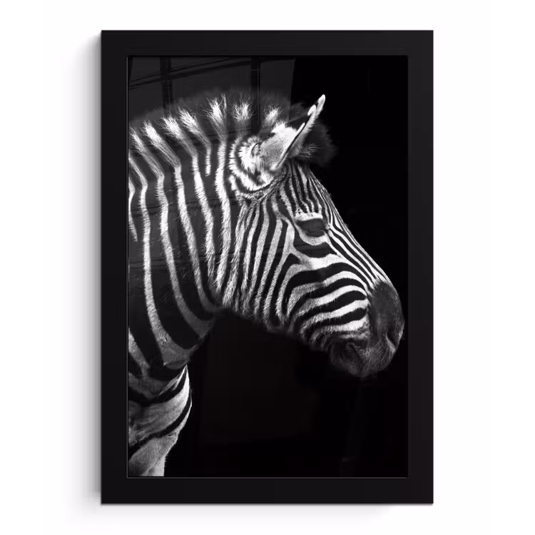Poster met lijst - Zebra - Zwart - Wit - Portret - Dieren — 1