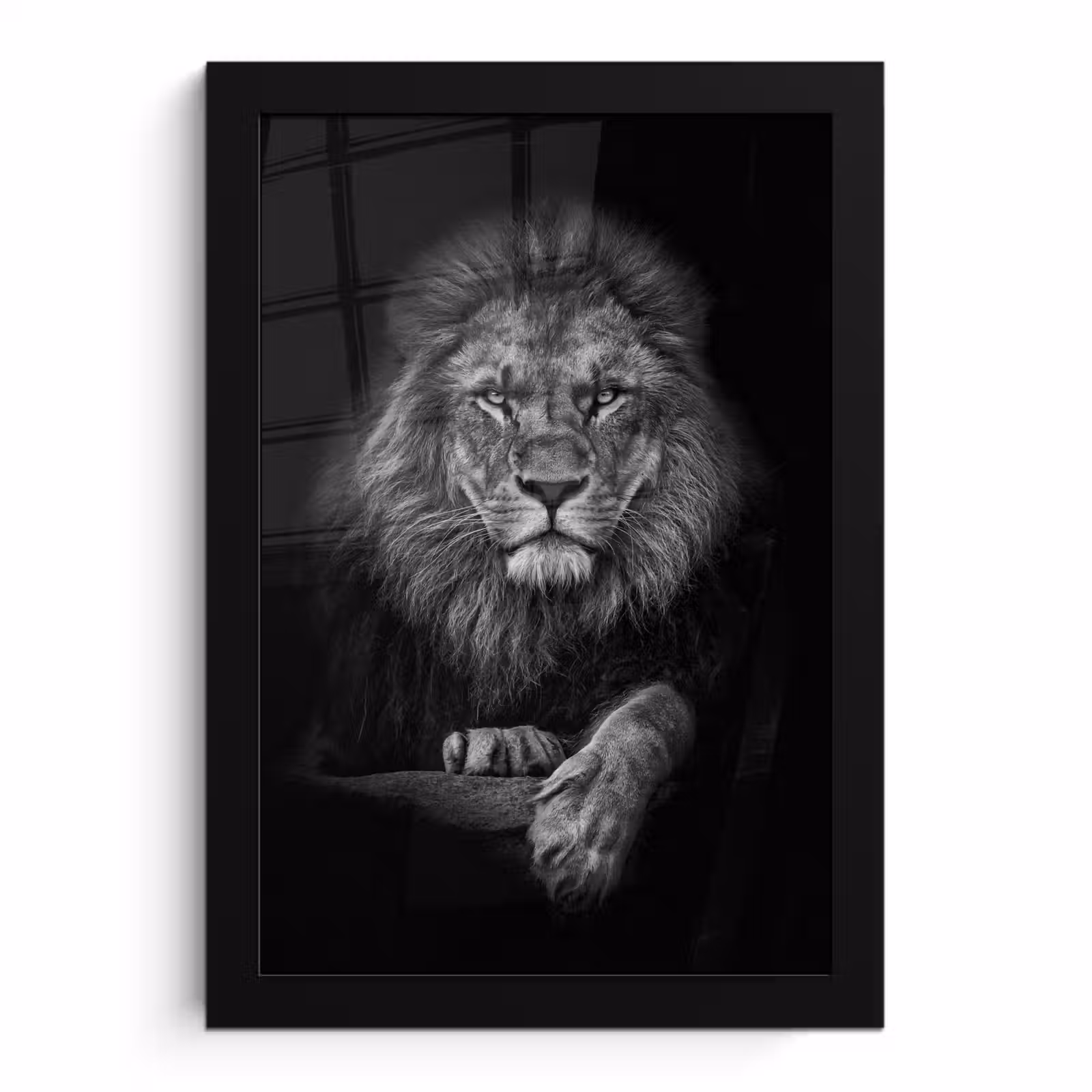 Poster met lijst - Leeuw - Dieren - Zwart - Wit — 1
