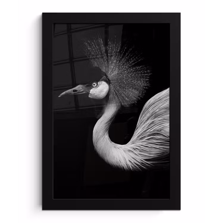 Poster met lijst - Kraanvogel - Zwart - Wit - Vogel - Dieren — 1
