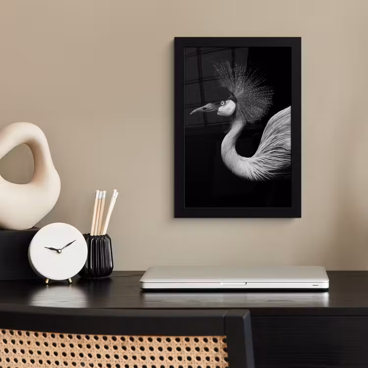 Poster met lijst - Kraanvogel - Zwart - Wit - Vogel - Dieren — 3