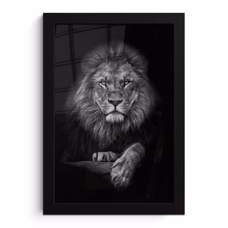 Poster met lijst - Leeuw - Dieren - Zwart - Wit — 1