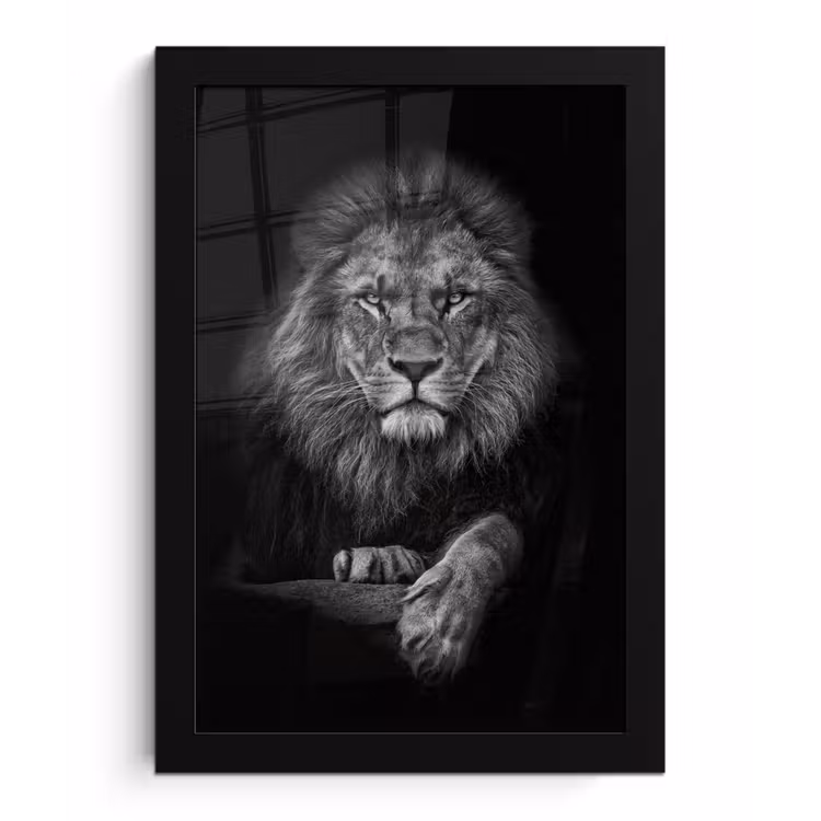 Poster met lijst - Leeuw - Dieren - Zwart - Wit — 1