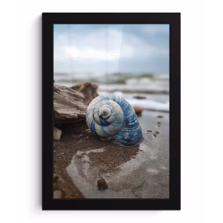 Poster met lijst - Schelp - Strand - Blauw - Zee — 1