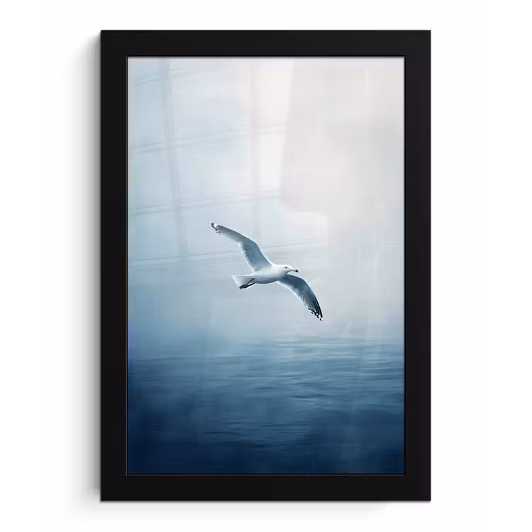 Poster met lijst - Meeuw - Wit - Zee - Mistig — 1
