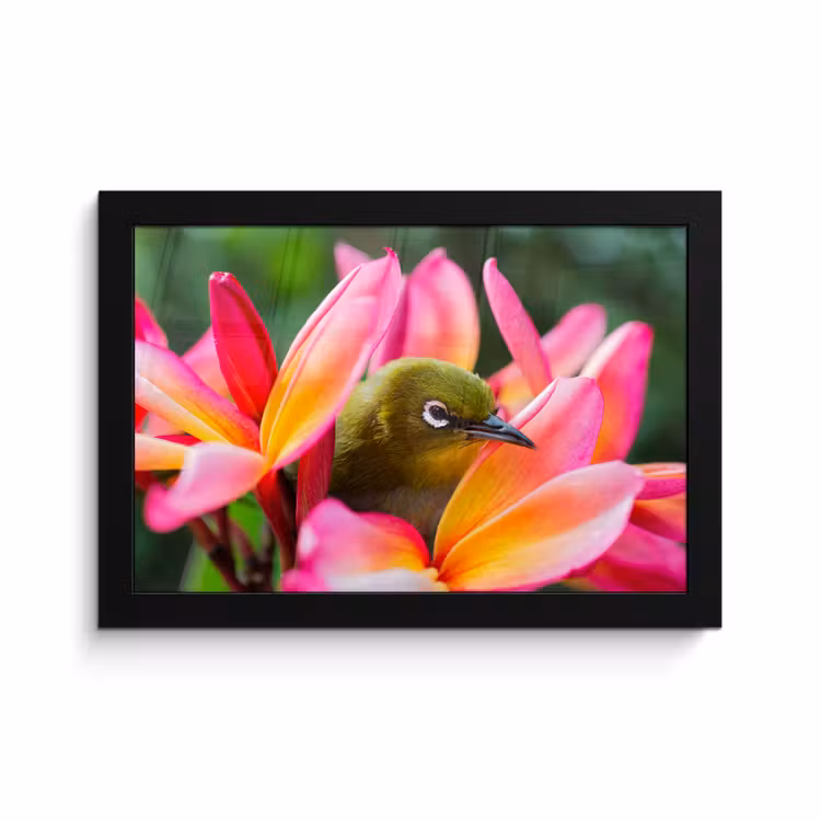 Poster met lijst - Tropische vogel tussen roze bloem — 1
