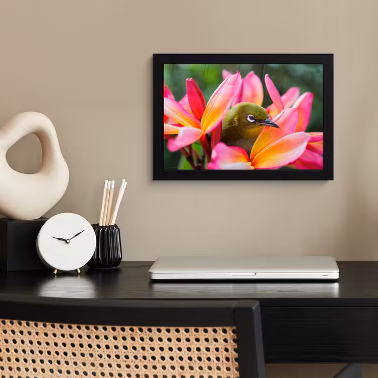 Poster met lijst - Tropische vogel tussen roze bloem — 3