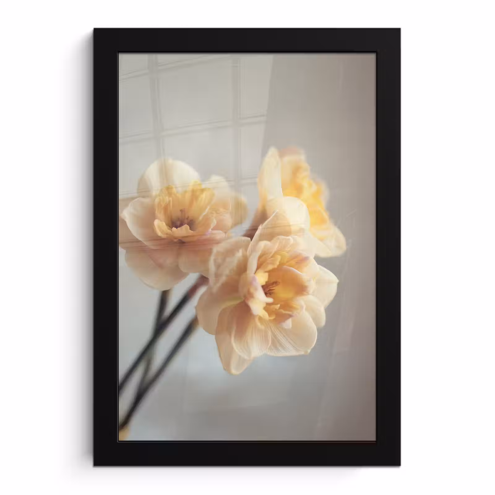 Poster met lijst - Narcissen - Geel - Bloemblaadjes — 1