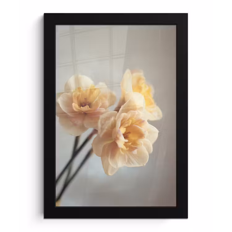 Poster met lijst - Narcissen - Geel - Bloemblaadjes — 1