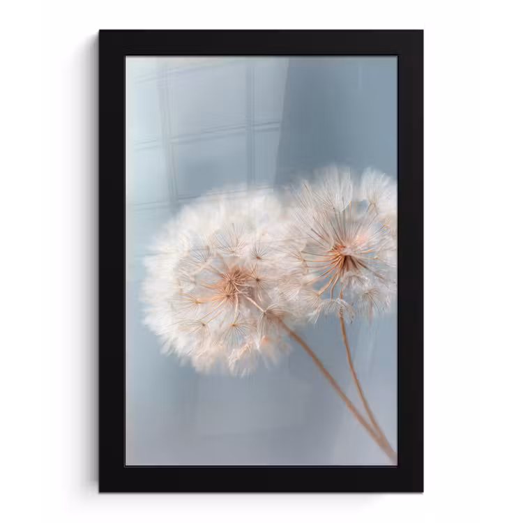Poster met lijst - Paardenbloemen - Pluisjes - Wit — 1