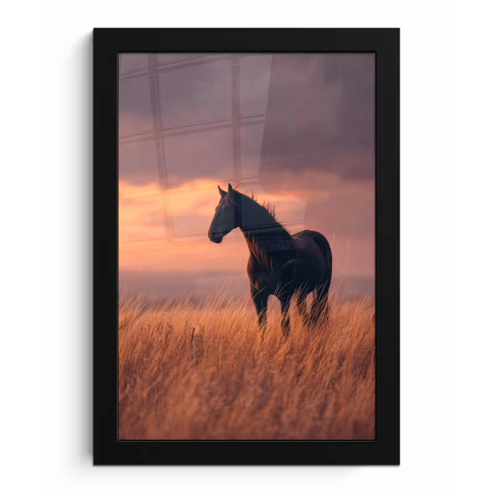 Poster met lijst - Paard - Wolken - Open veld — 1