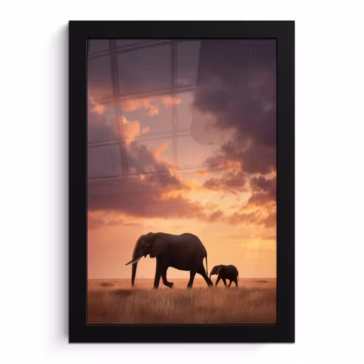 Poster met lijst - Olifanten - Grasland - Zonsondergang — 1