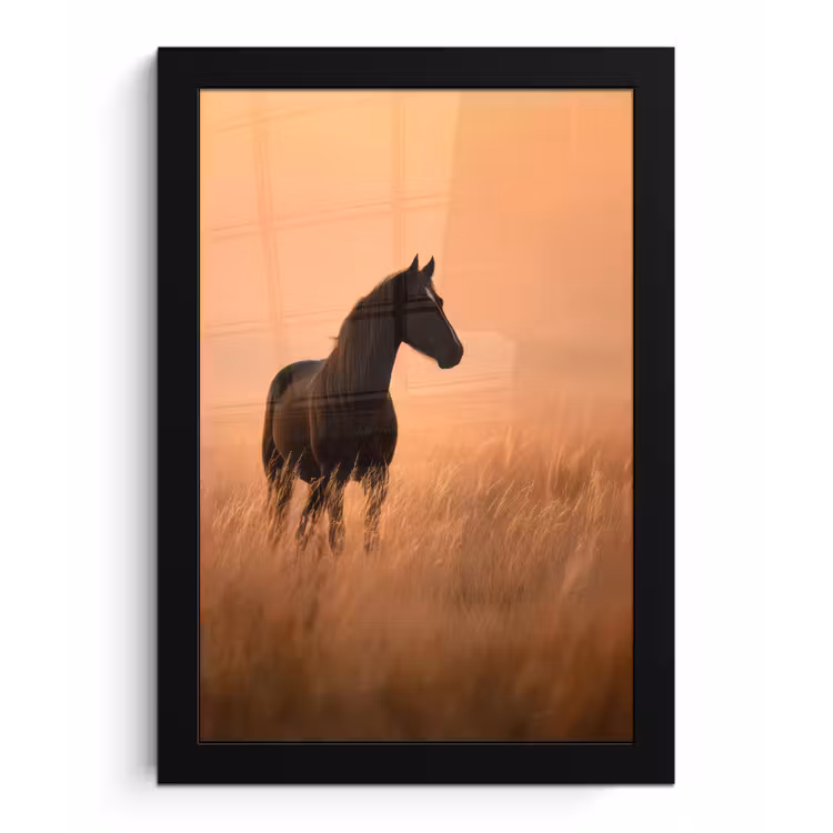 Poster met lijst - Paard - Grasveld - Zonsondergang — 1
