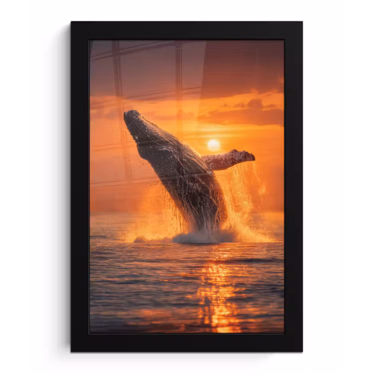 Poster met lijst - Walvis - Zon - Zee — 1