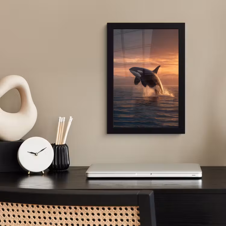 Poster met lijst - Orka - Zee - Zonsondergang — 3