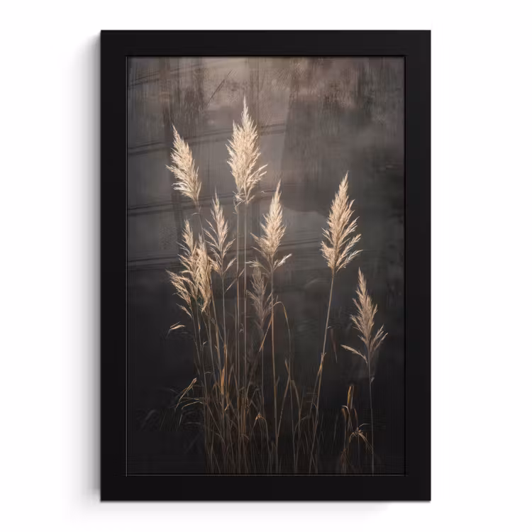 Poster met lijst - Siergras - Pluimen - Verlichting - Zwart — 1