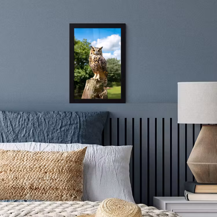 Poster met lijst - Uil - Boomstronk - Bos - Lucht — 4