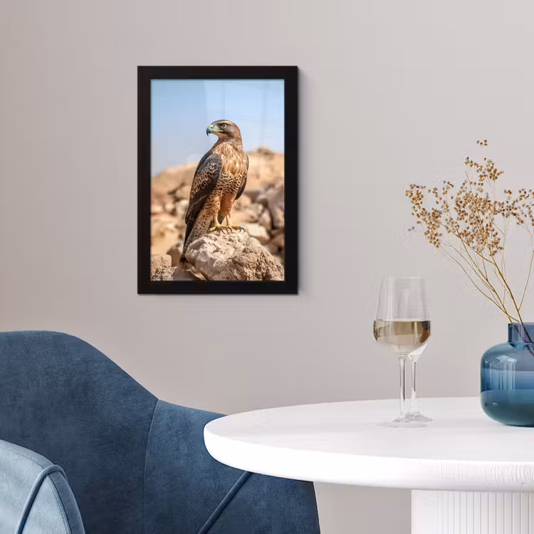 Poster met lijst - Valk - Vogel - Rots - Macht — 2