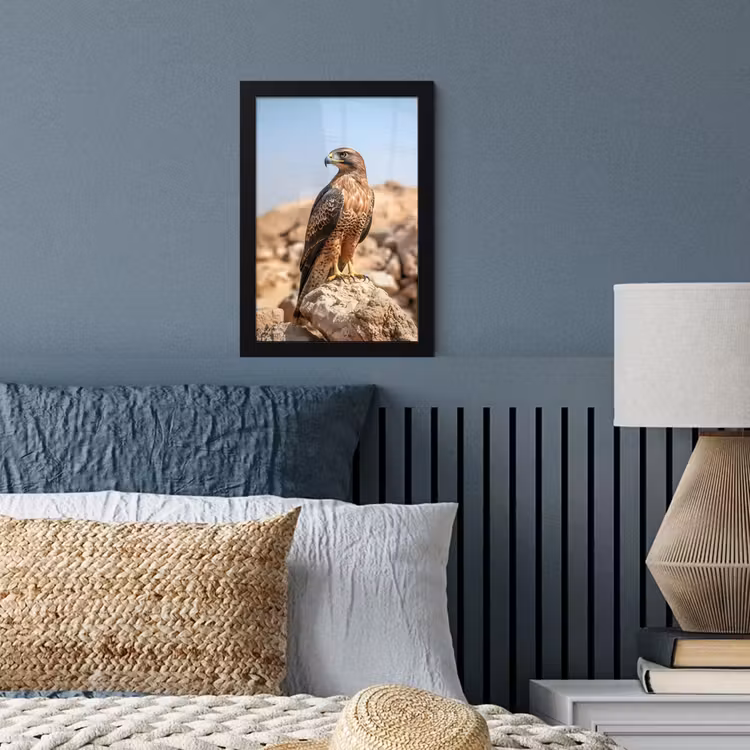 Poster met lijst - Valk - Vogel - Rots - Macht — 4