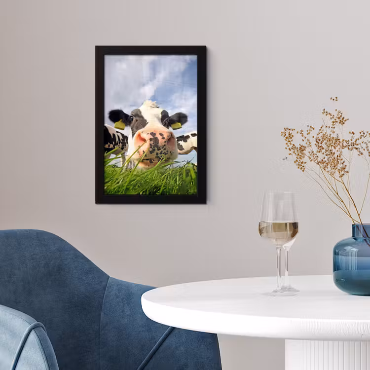 Poster met lijst - Koe - Boerderij - Gras - Dieren — 2