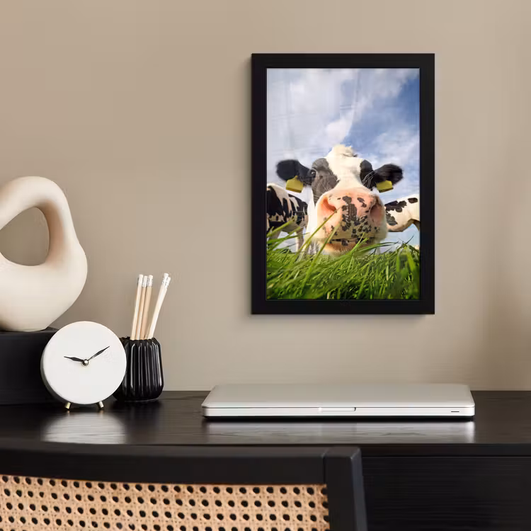 Poster met lijst - Koe - Boerderij - Gras - Dieren — 3