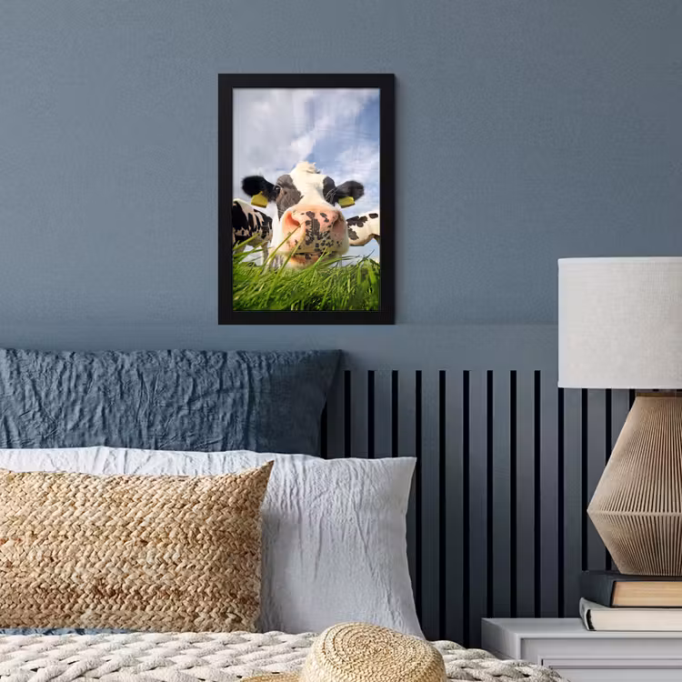Poster met lijst - Koe - Boerderij - Gras - Dieren — 4