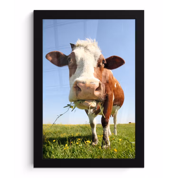 Poster met lijst - Koe - Dieren - Bloemen - Gras — 1